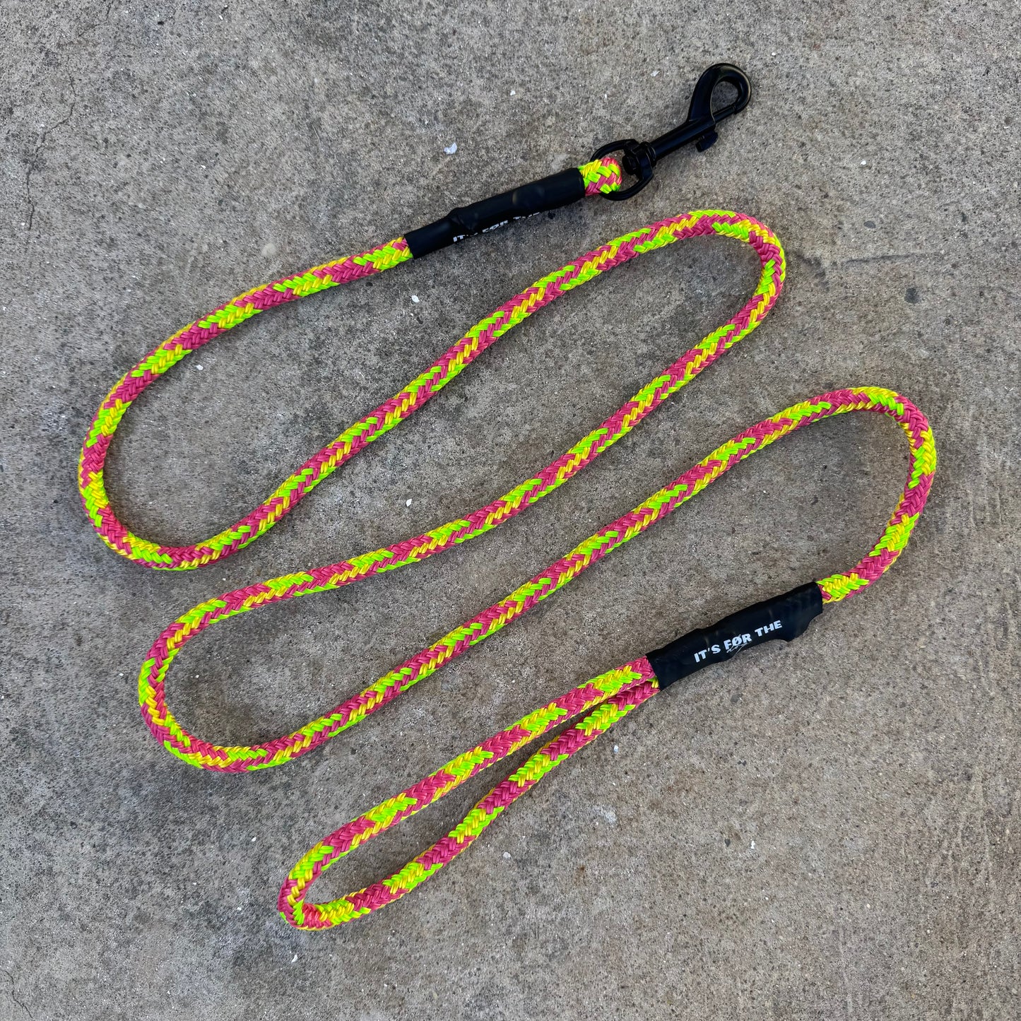 Clip Leads