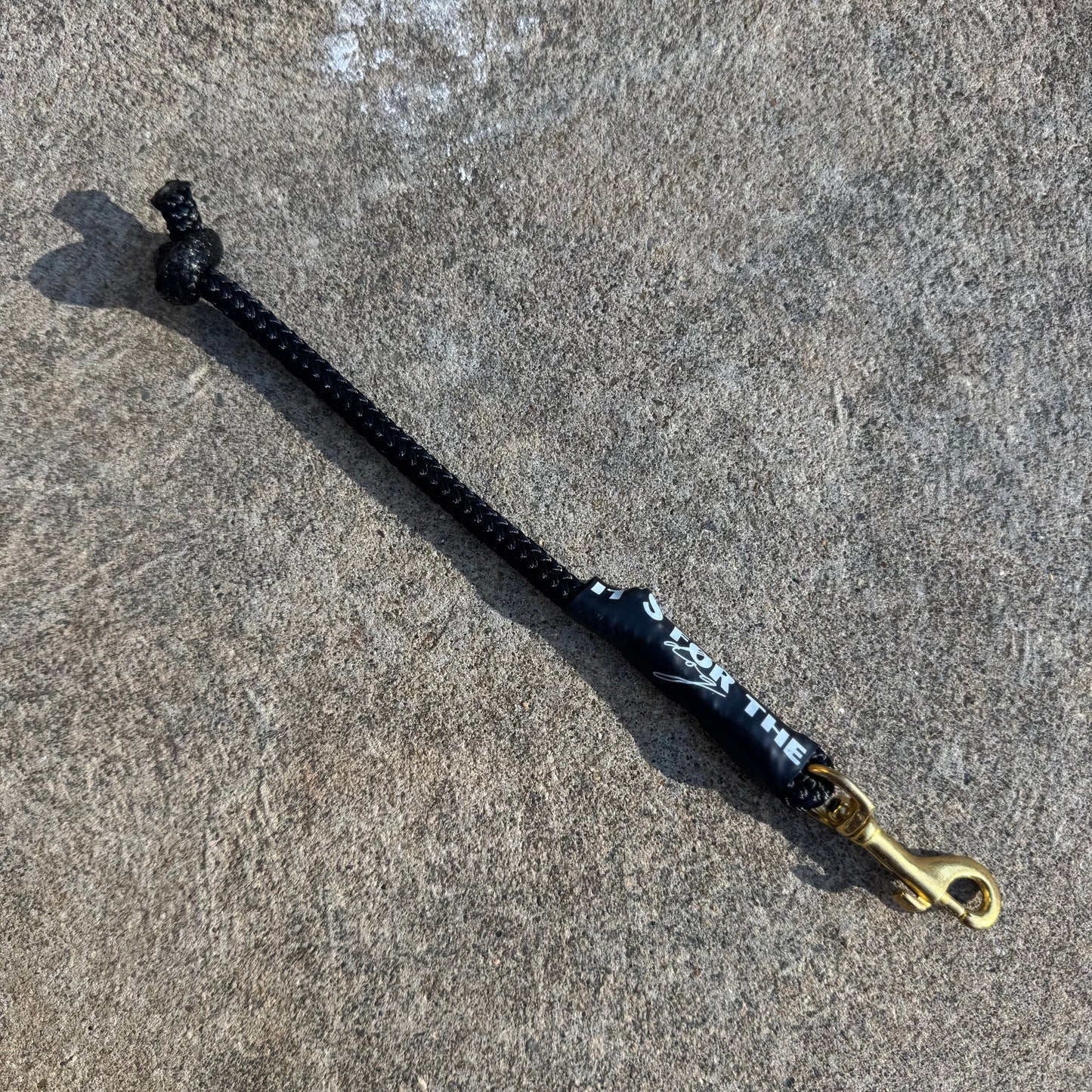 LIMITED EDITION Gold Hardware 6mm Tab