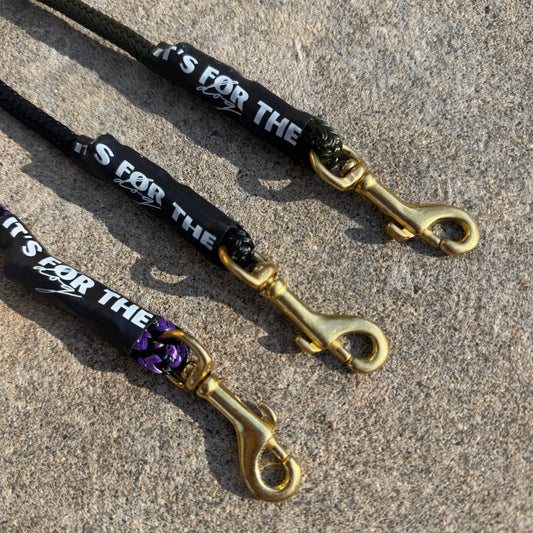 LIMITED EDITION Gold Hardware 6mm Tab