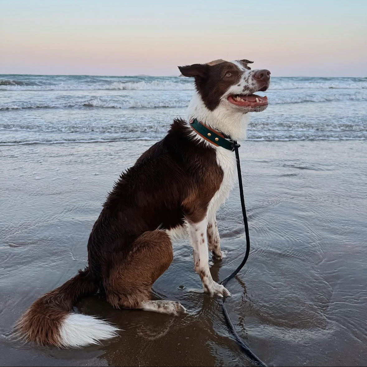 10 Meter Long Line (Made To Order)