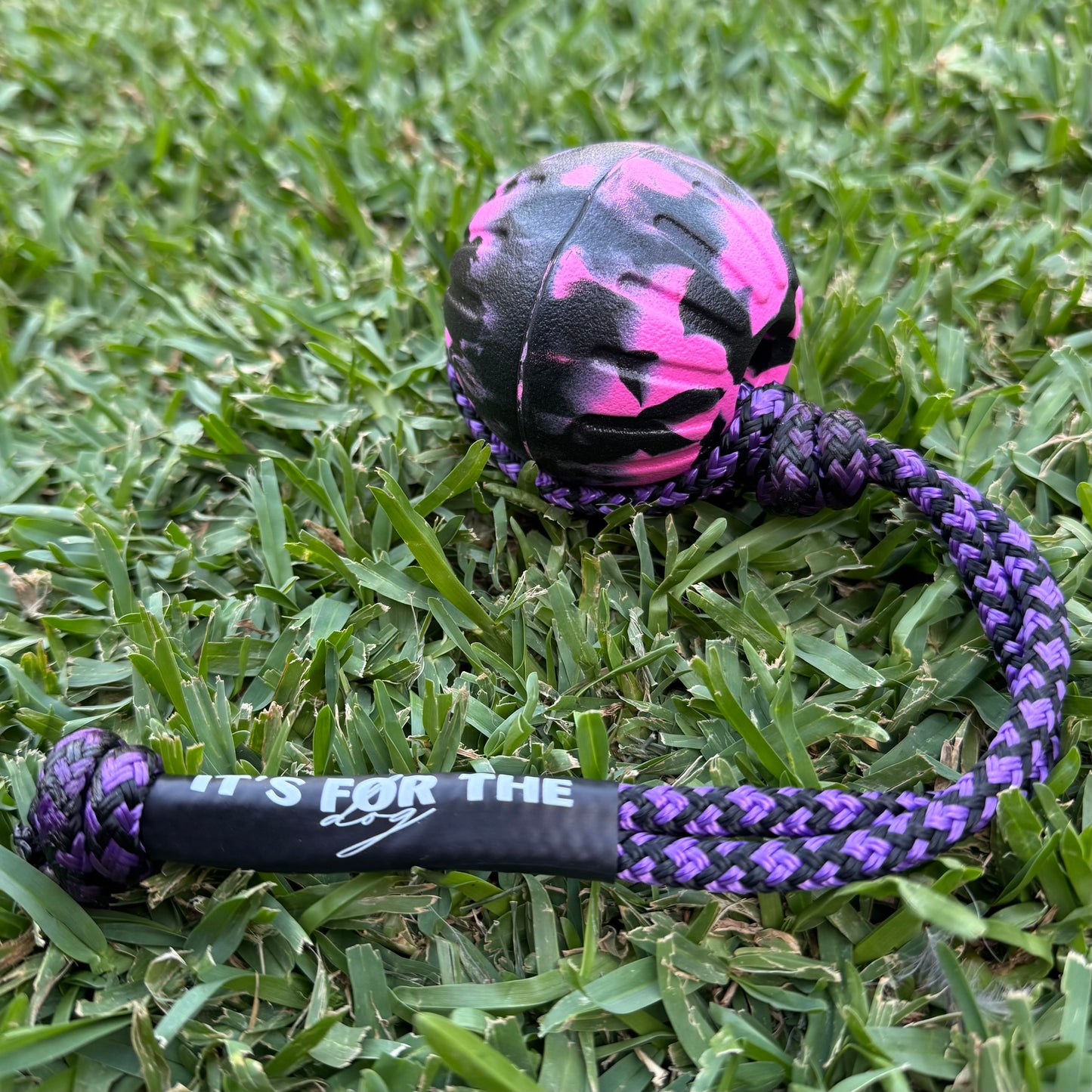 Ball on Rope Toy